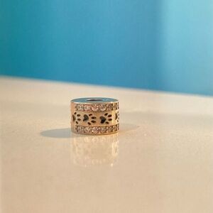 Elegant Silver and Black Charm